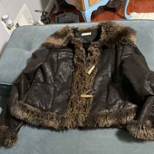 Giorgio Itália colt, dark brown with fur color, medium.